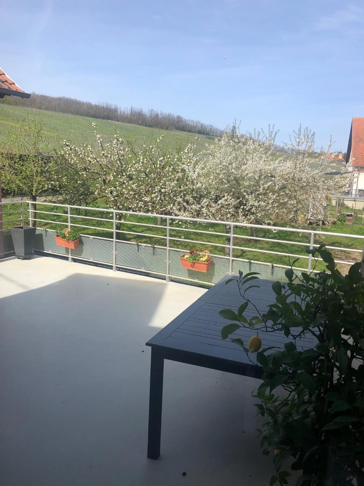 Gite Binnert Bader Nothalten Exterior photo